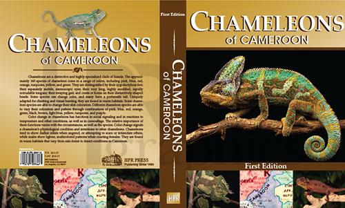 Chameleons of Cameroon