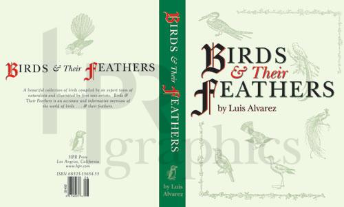 Birds & Their Feathers
