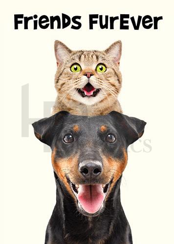 Friendship Card - 02