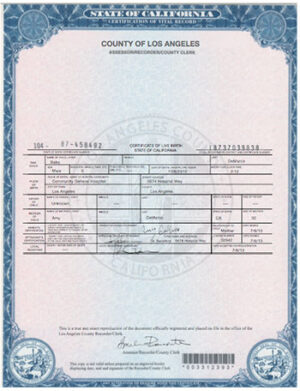 Birth Certificate 02