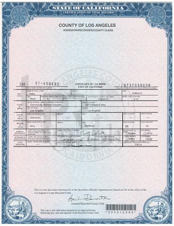 Birth Certificate 02
