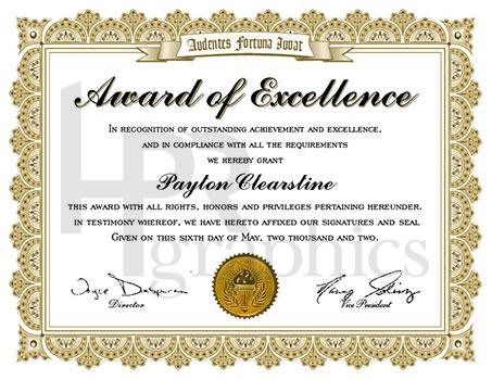 Certificate of Excellence