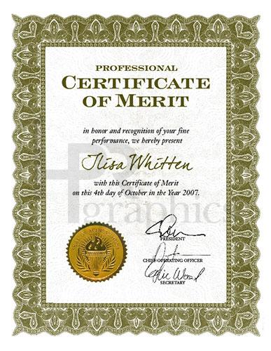 Professional Certificate of Merit 01