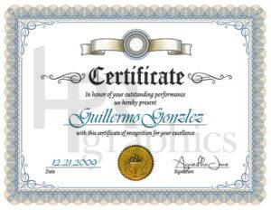 Outstanding Performance Certificate