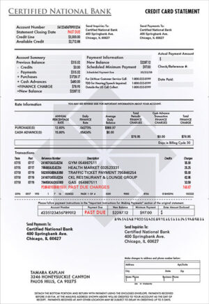 Bill - Credit Card 05