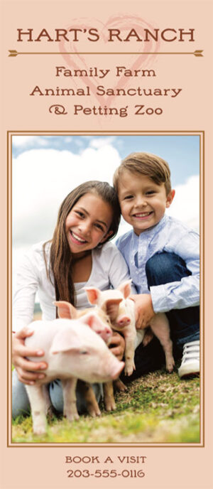 Tourist Flyer - Ranch and Petting Zoo