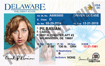Driver's License - DE - OLDER FORMAT