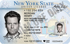 Driver's License - NY - OLDER FORMAT
