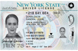 Driver's License - NY