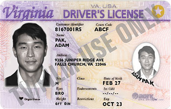 Driver's License - VA - OLDER FORMAT