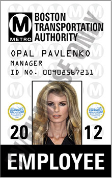 Metro Photo ID - Boston
