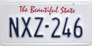 License Plate - Generic - Beautiful State