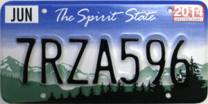 License Plate - Generic - Spirit State