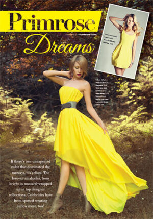 Interior - Fashion - Primrose