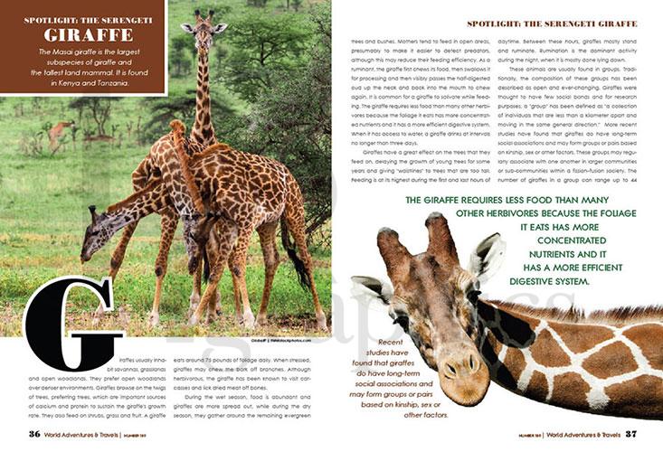 Interior - Travels - Giraffe