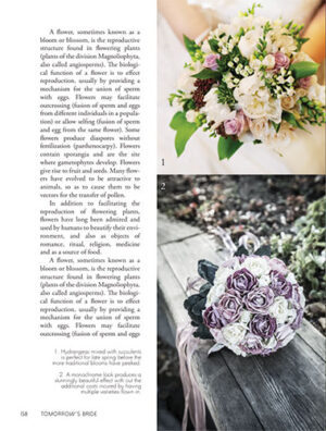 Interior - Wedding - Article