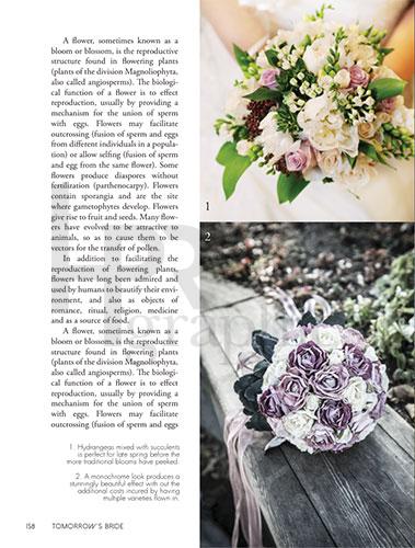 Interior - Wedding - Article
