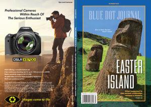 Blue Dot Journal