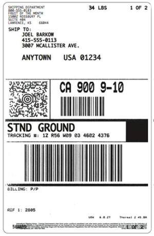 UPS Style Label