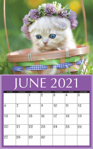 Calendar - Wall 02