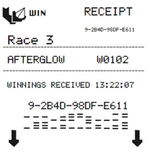 Horse Race Bet Receipt