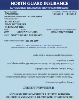 Car Insurance