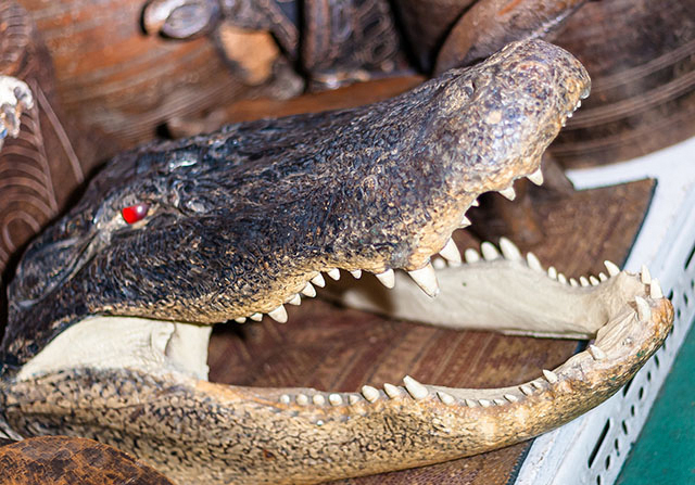 Taxidermy