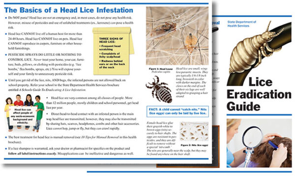 Lice Eradication Guide