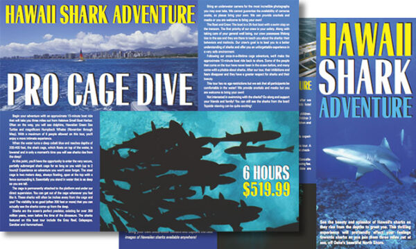 Hawaii - Shark Adventures
