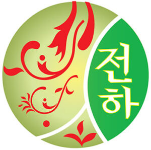 Korean Mic Cube