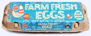 Egg Carton 02