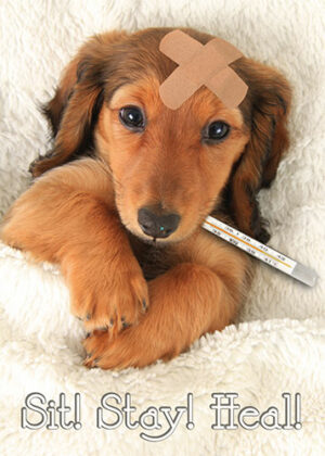 Get Well Card - 05