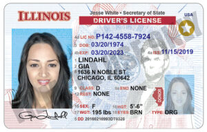 Driver's License - IL
