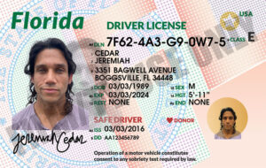 Driver's License - FL