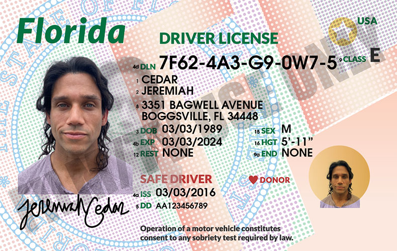 Driver's License - FL