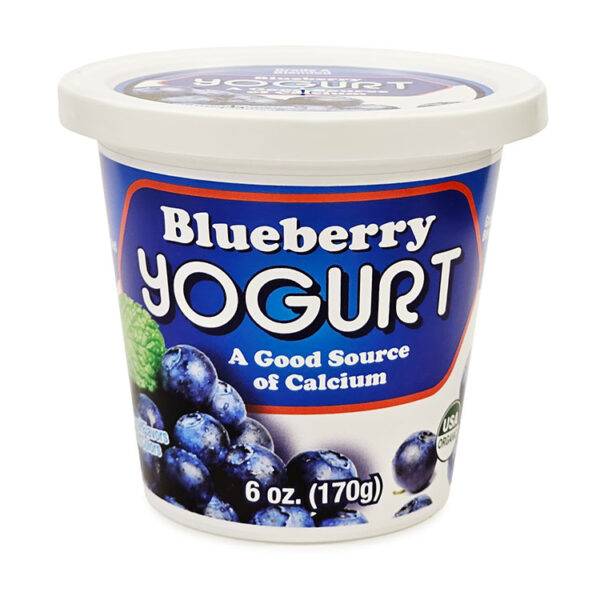 Yogurt - Blueberry - 6 oz