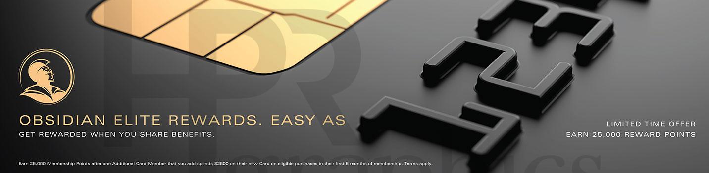 Advertising Poster - Subway - Credit Card - Obsidian