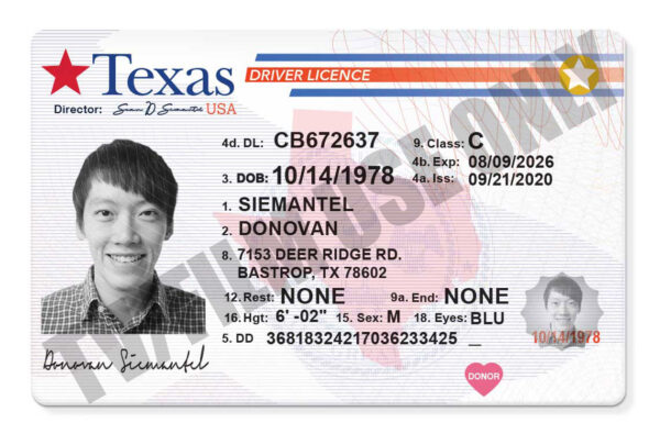 Driver's License - GENERIC TEMPLATE