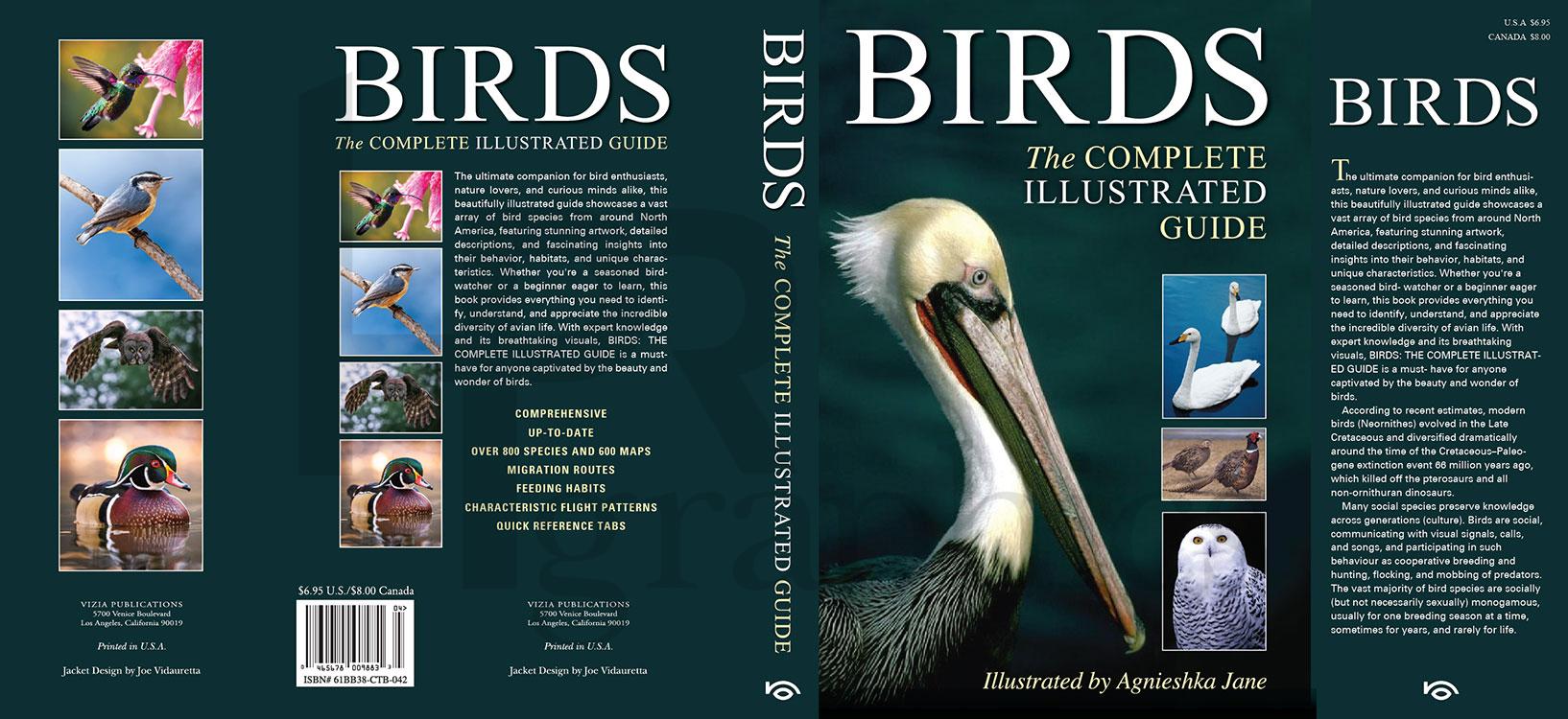 Birds